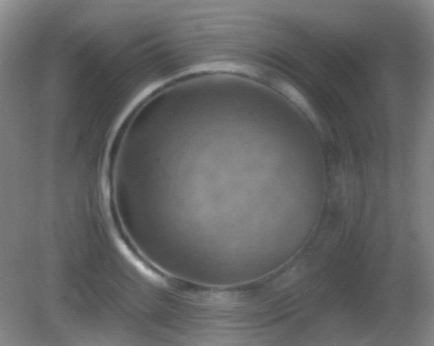 X0000082991084200702011423