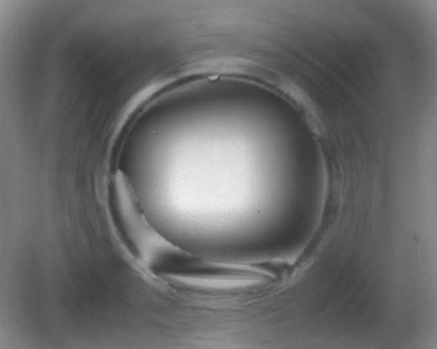 X0000082991085200702011423