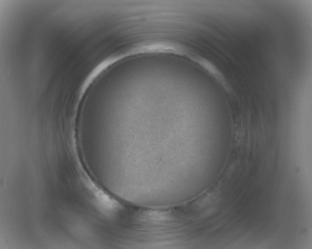 X0000082991086200702011423