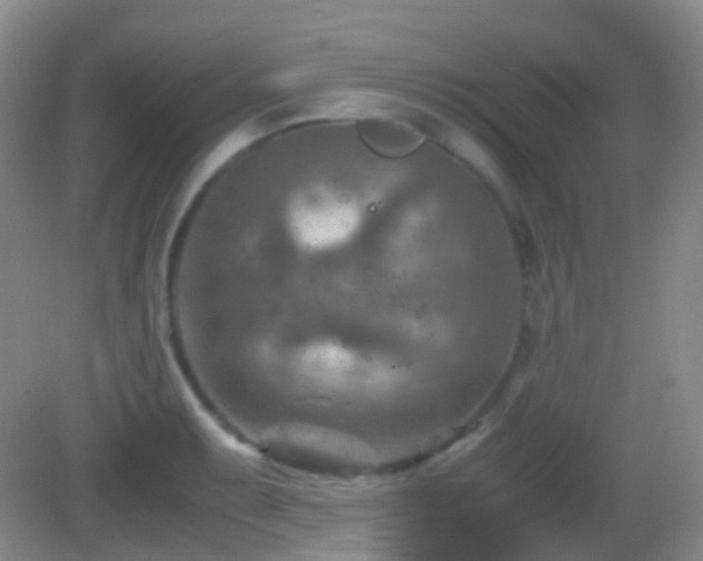 X0000082991087200702011423