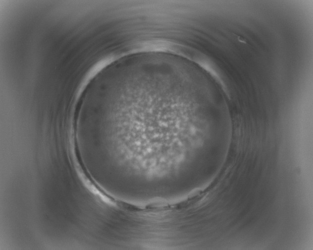 X0000082991088200702011423