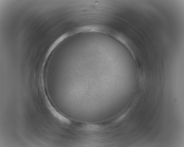 X0000082991090200702011423