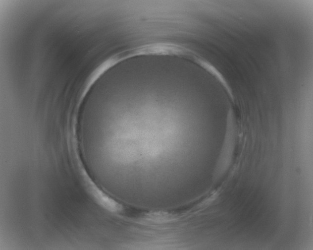 X0000082991091200702011423