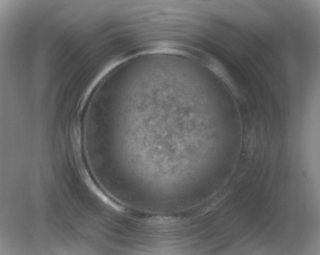 X0000082991092200702011423