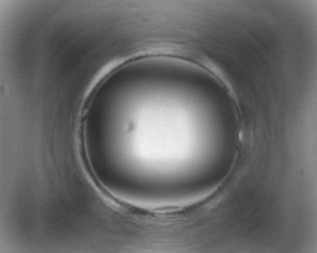 X0000082991093200702011423