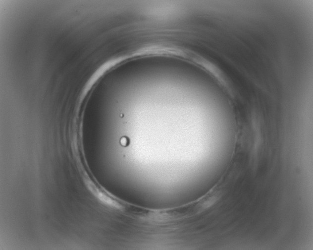 X0000082991094200702011422