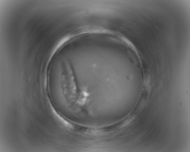 X0000082991095200702011422