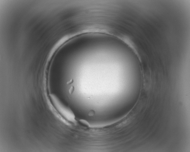 X0000082991096200702011422