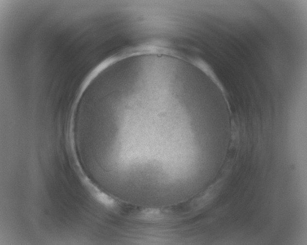 X0000082991098200702011422