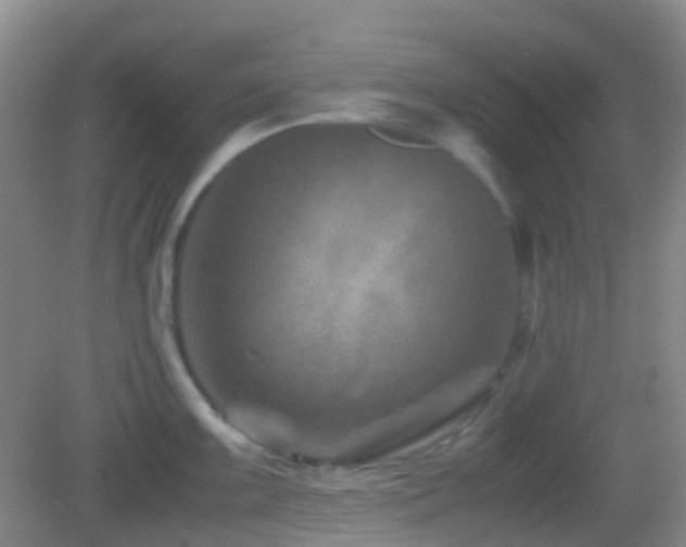 X0000082991099200702011422