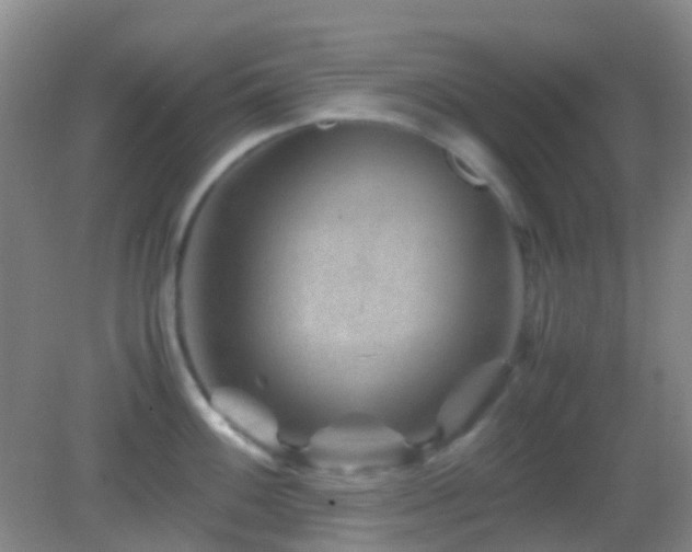 X0000082991100200702011422