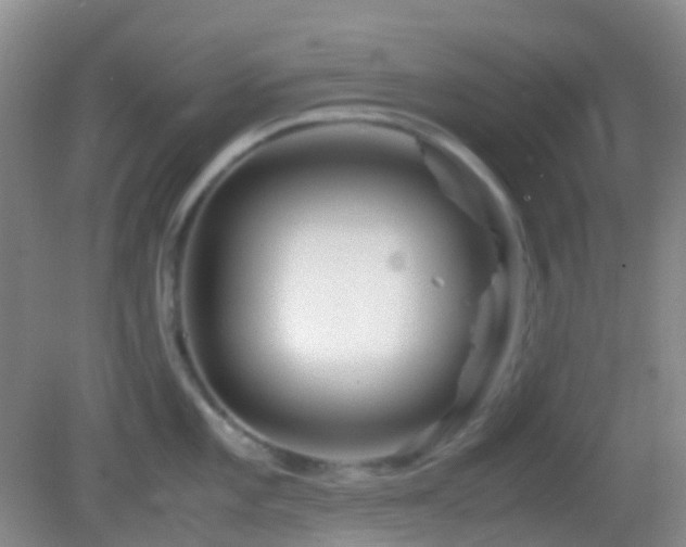 X0000082991101200702011422