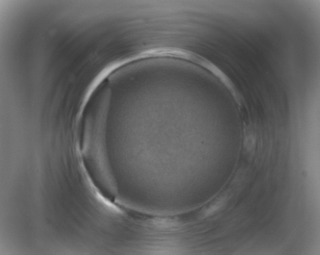 X0000082991102200702011422