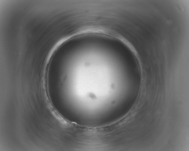 X0000082991104200702011422