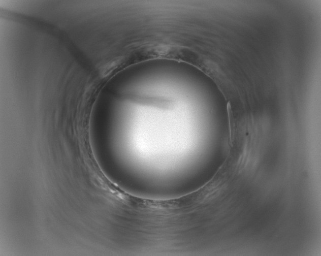 X0000082991105200702011422