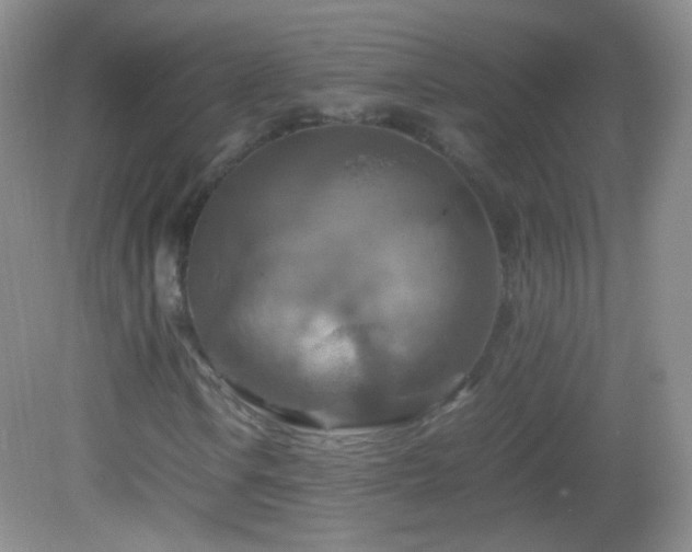 X0000082991106200702011422