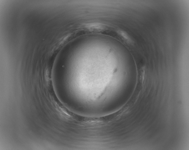 X0000082991108200702011422