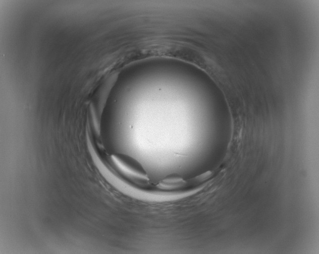 X0000082991109200702011422