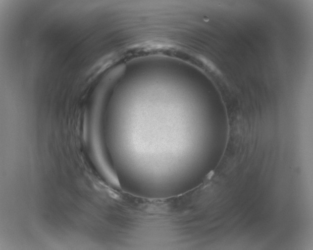 X0000082991110200702011422