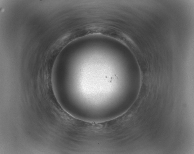 X0000082991111200702011422