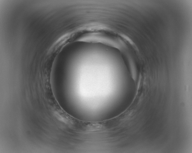 X0000082991112200702011422