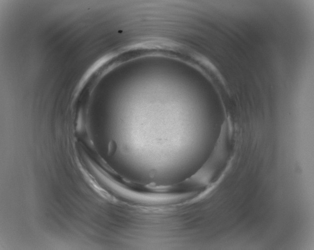 X0000082991114200702011422