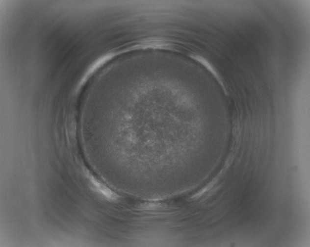 X0000082991115200702011422