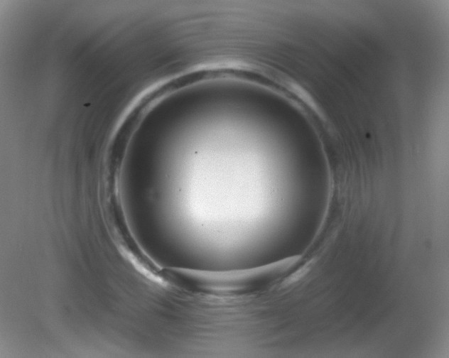 X0000082991116200702011422