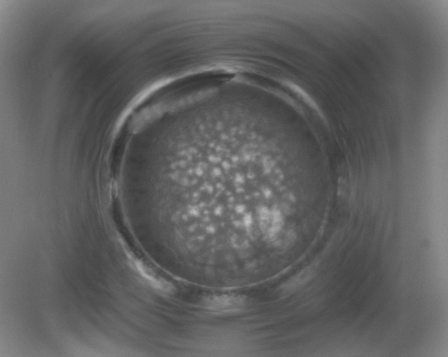 X0000082991117200702011422