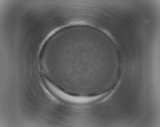 X0000082991118200702011422