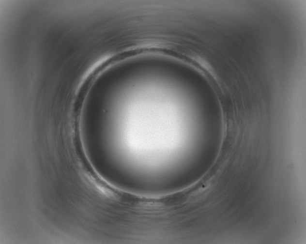 X0000082991119200702011422