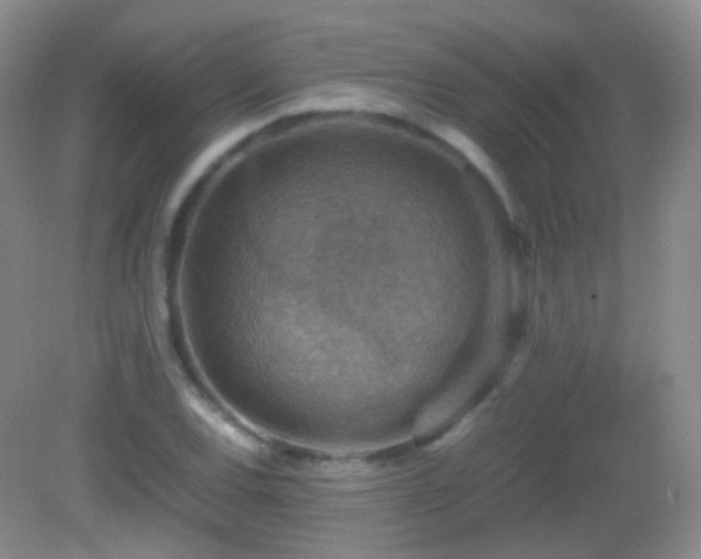 X0000082991120200702011422