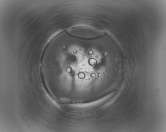 X0000082991121200702011422