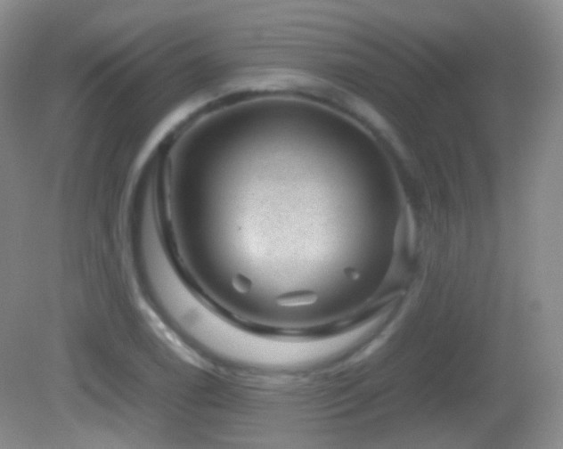 X0000082991122200702011422