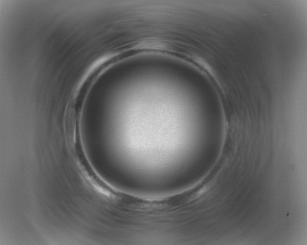 X0000082991123200702011422