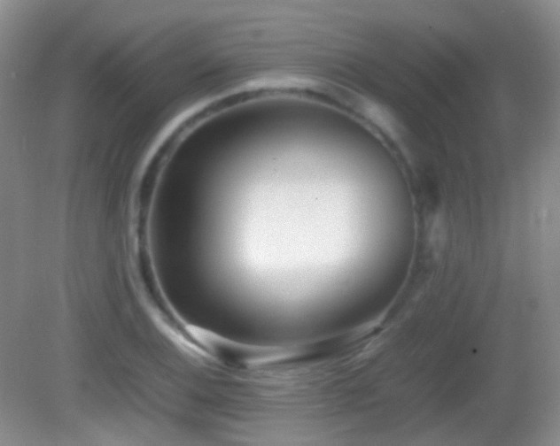 X0000082991124200702011422