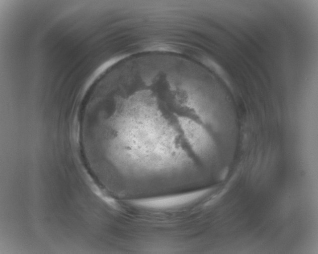 X0000082991125200702011422