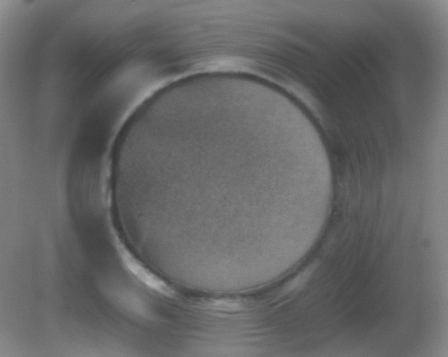 X0000082991126200702011422