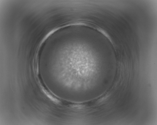 X0000082991127200702011422