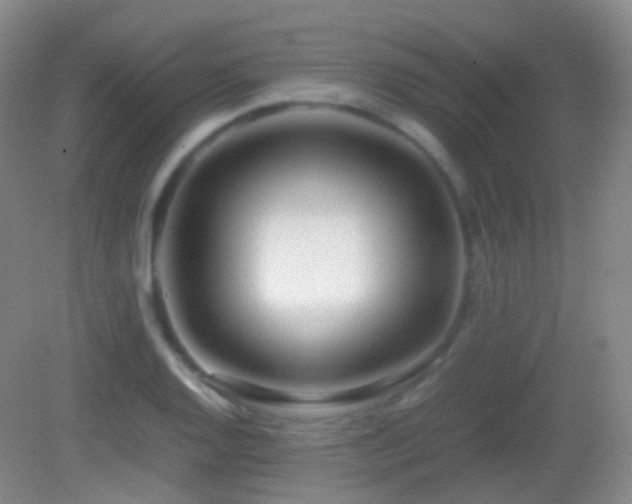 X0000082991128200702011422