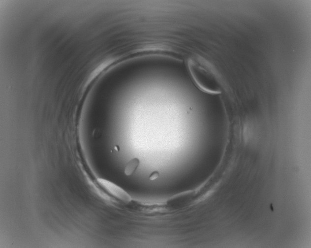 X0000082991129200702011422