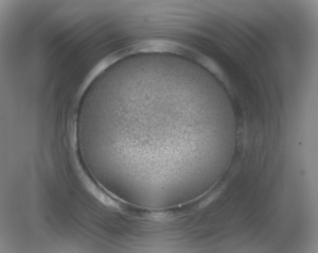 X0000082991130200702011422