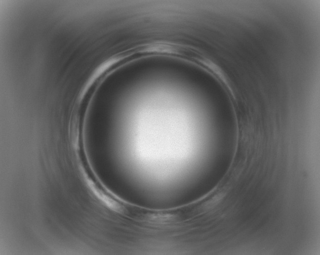 X0000082991131200702011422