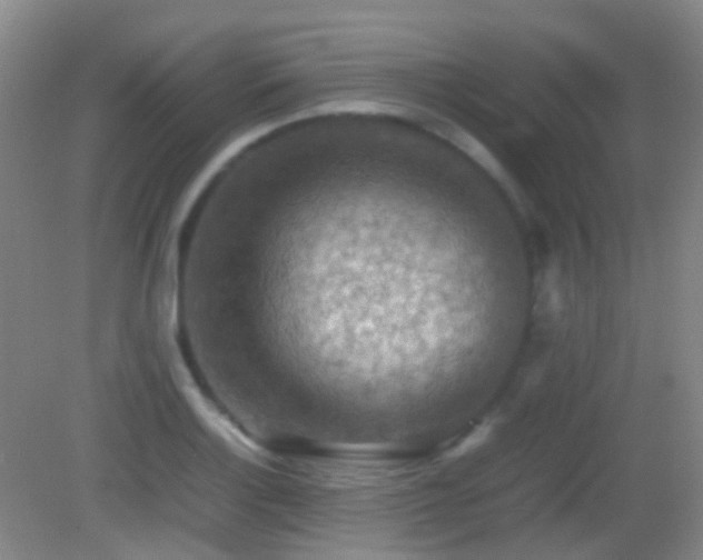 X0000082991132200702011422