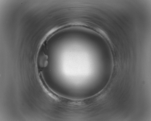 X0000082991133200702011422