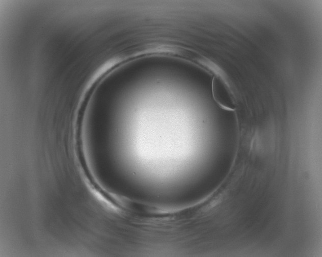 X0000082991135200702011422