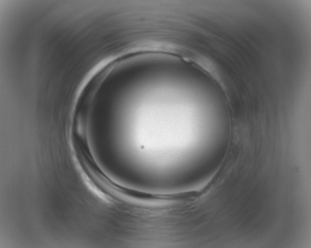 X0000082991136200702011422