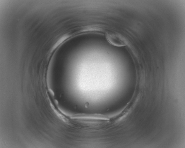 X0000082991137200702011422