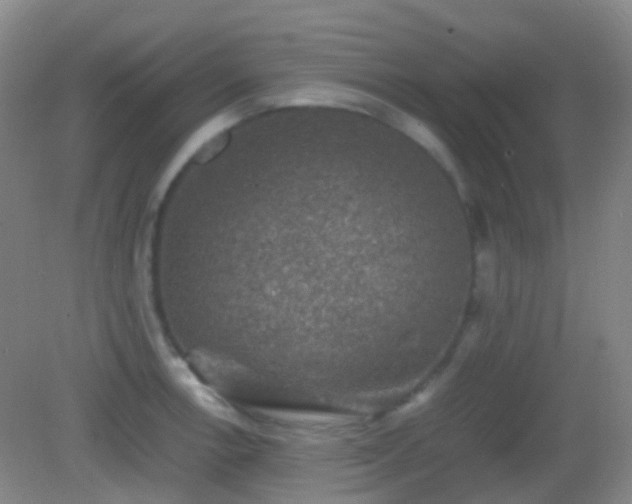 X0000082991138200702011422