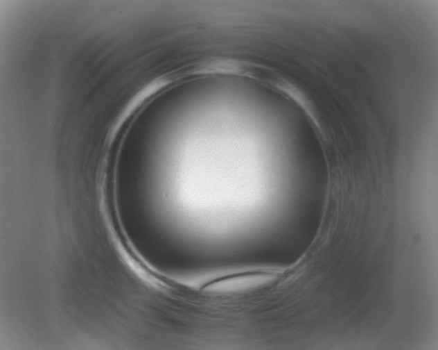 X0000082991139200702011422